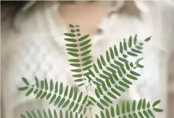 不要试图去改变别人,无论有多喜欢