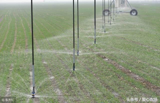 2018年农村土地改革预测农民今后现状!很多