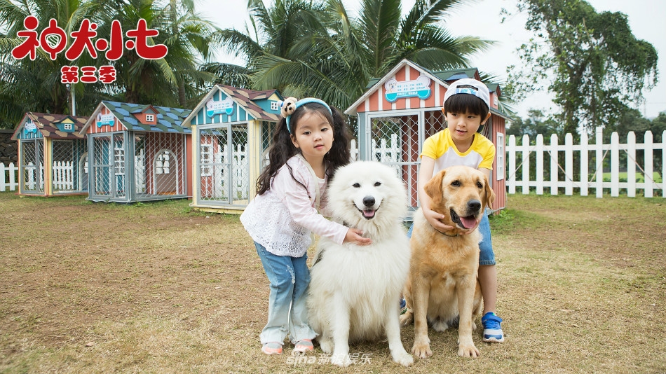 《神犬小七第三季》剧照 萌娃萌宠暖心治愈