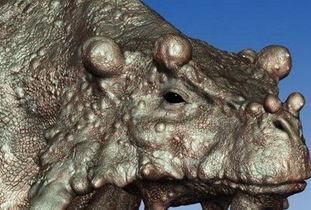 迄今为止,中国境内发现6种巨颊龙,它们主要生活在二