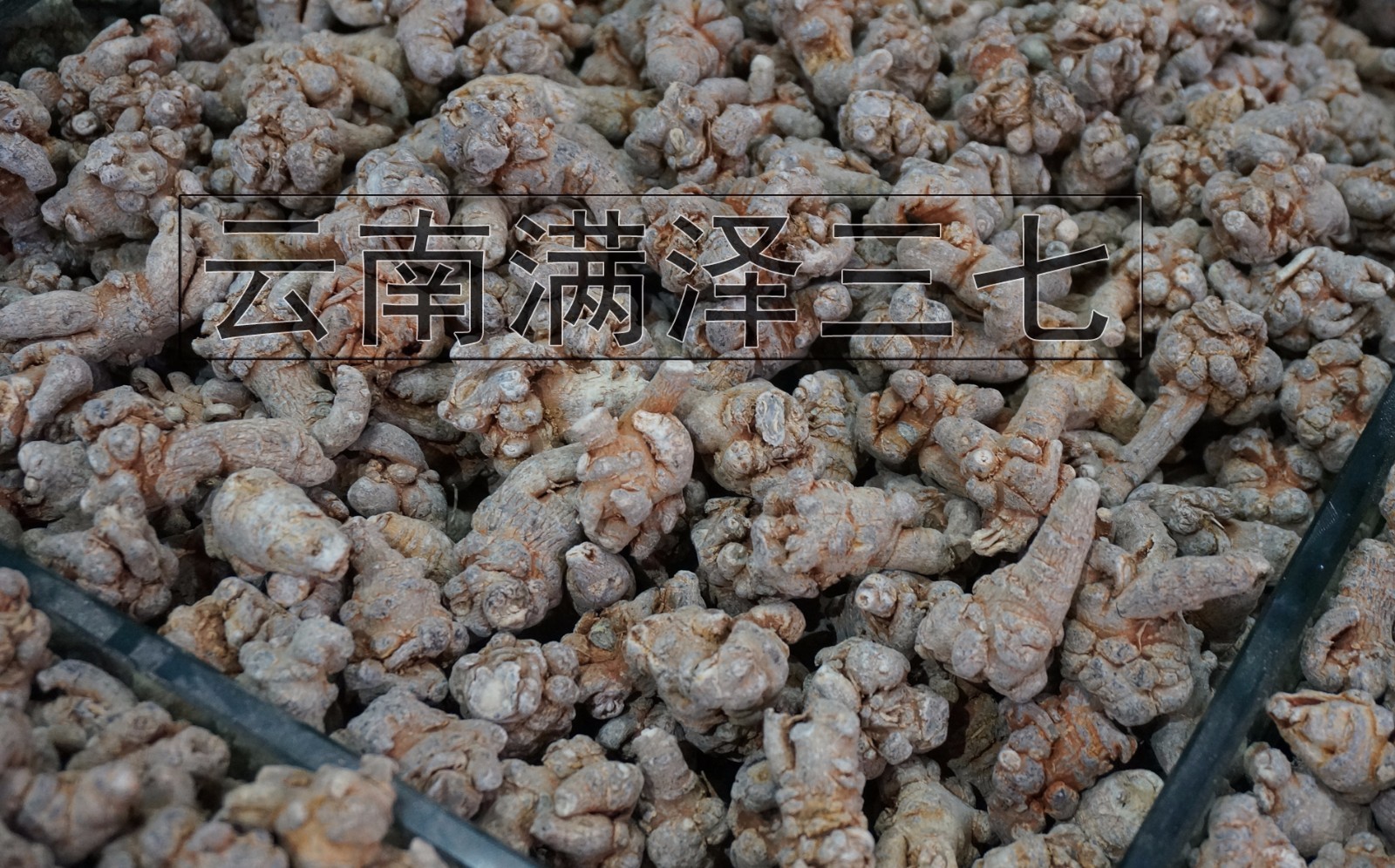 三七粉吃生的还是熟的好,生三七粉和熟三七粉