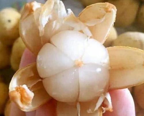 老中医:它是天然胰岛素,饭后吃2粒,糖尿病不