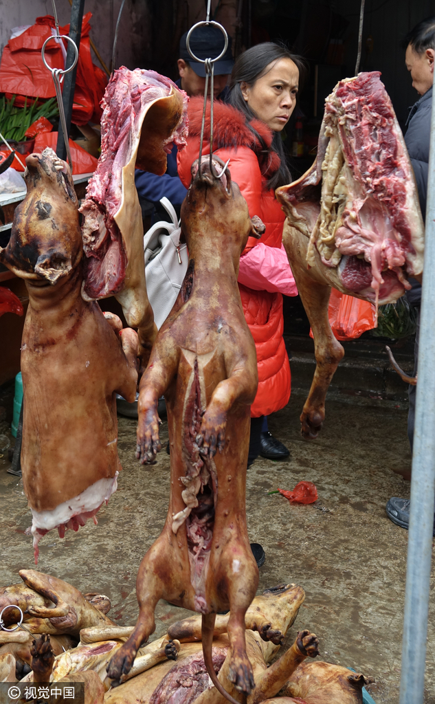 冬至来临 贵阳狗肉摊档生意好 冬至来临 贵阳狗肉摊档生意好