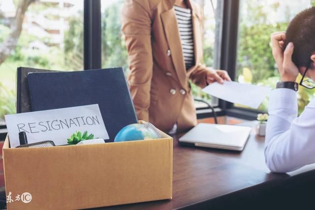 无意得知同事学历造假,新员工告诉了老板,隔天