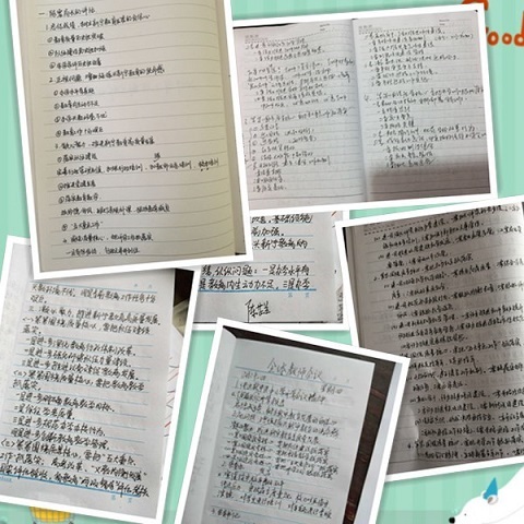 与春天同步--新宁高桥镇起航五大重点工作绘教