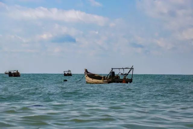 海参一年四季都可吃?拒绝吃亏!半岛优选即食