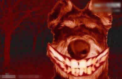 微笑狗是什么梗:微笑狗恐怖在哪里及来源,微笑