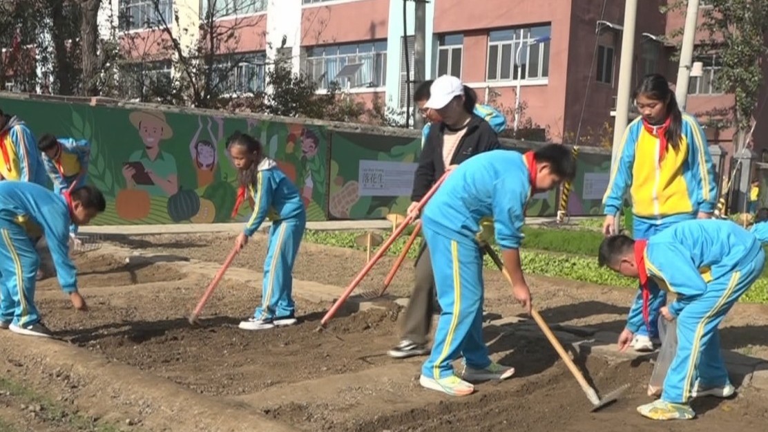 教育新视点：中小学校办大集 展示学生农业劳动学习成果