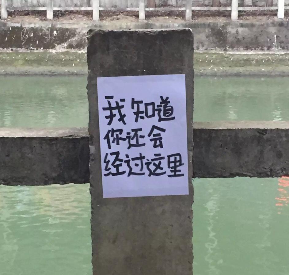 女大学生手机被偷后,这几根桥柱却火了 女大学生手机被偷后,这几根桥柱却火了