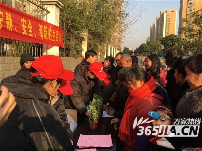 临湖社区开展承诺不放烟花爆竹送绿植活动