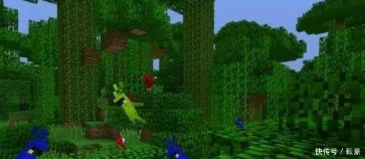 我的世界攻略如何驯服一只鹦鹉鹦鹉有什么用呢