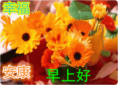 早上好美女动态图片,早上好美女动图表情