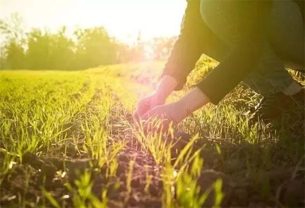 聚焦2018年中央一号文件:4大政策红利 14个致