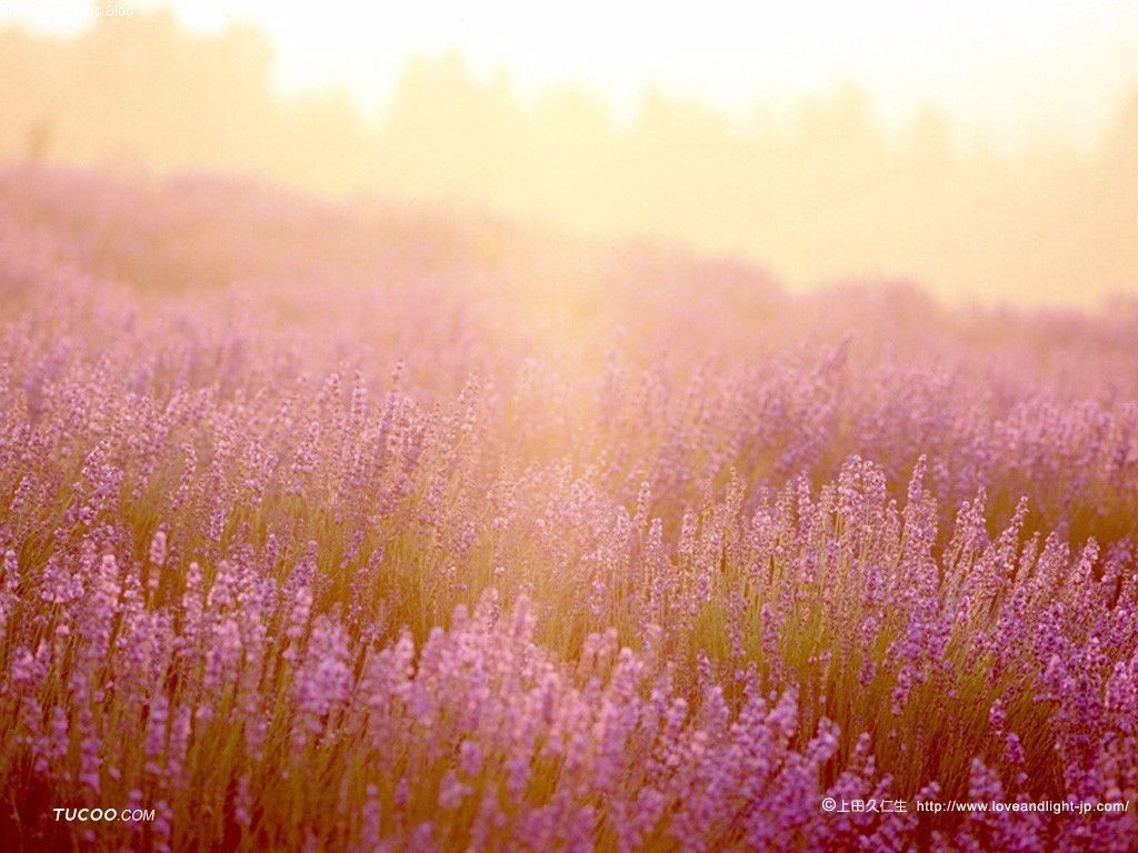 2017北京通州区乡镇街道招聘专职安全员89人