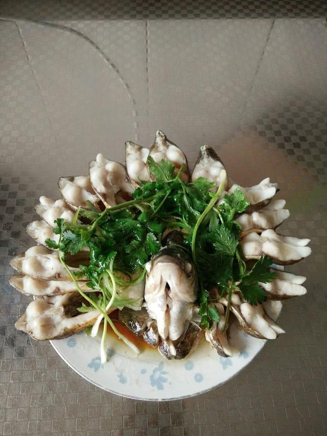 5个经典家常菜做法大全,做法简单又营养,百吃