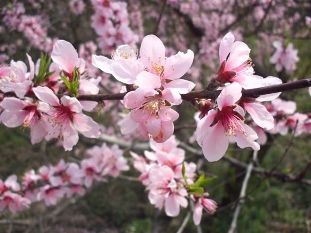 出行有礼:在建的这条高铁将苏北的两大城市直