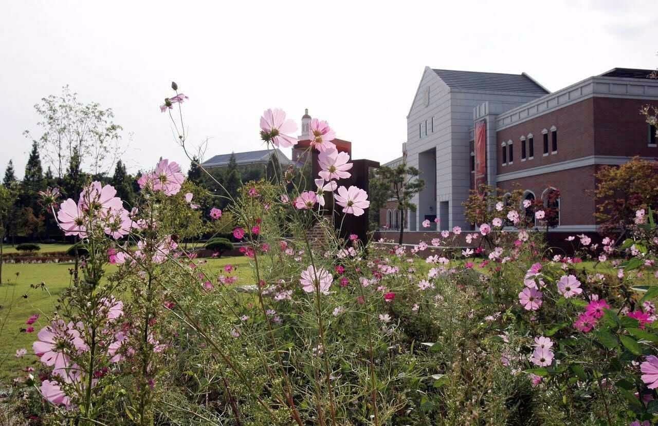 一个去韩国留学的中国大学生的自述