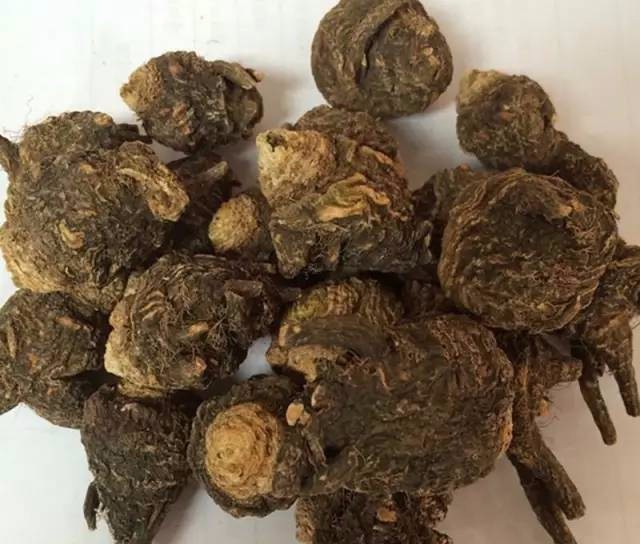 补肾的最佳食物桑葚 t015bf753dd7c668f73.jpg?size=640x544