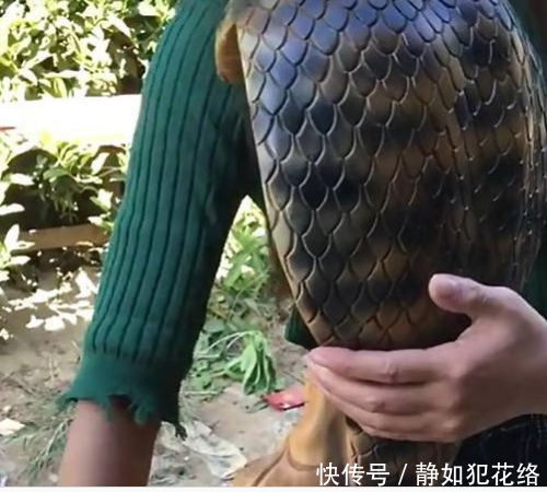 女子在胸前环抱"眼镜蛇",行为怪异,游客看见蛇身后只好掏钱!