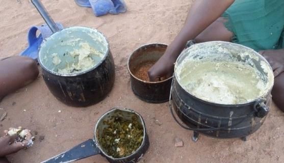 津巴布韦经济崩溃,人们靠吃苍蝇和蚂蚱为生泥