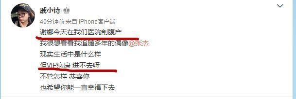 谢娜在上海仁济医院vip病房,剖腹产生下双胞胎