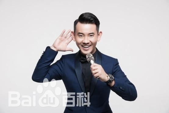 盘点四大地方卫视当家主持人