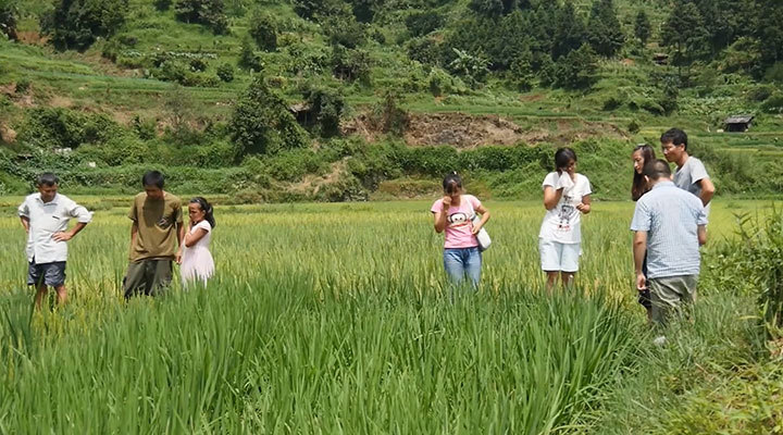 《故乡的温度》——公益宣传片好作品 《故乡的温度》——公益宣传片好作品