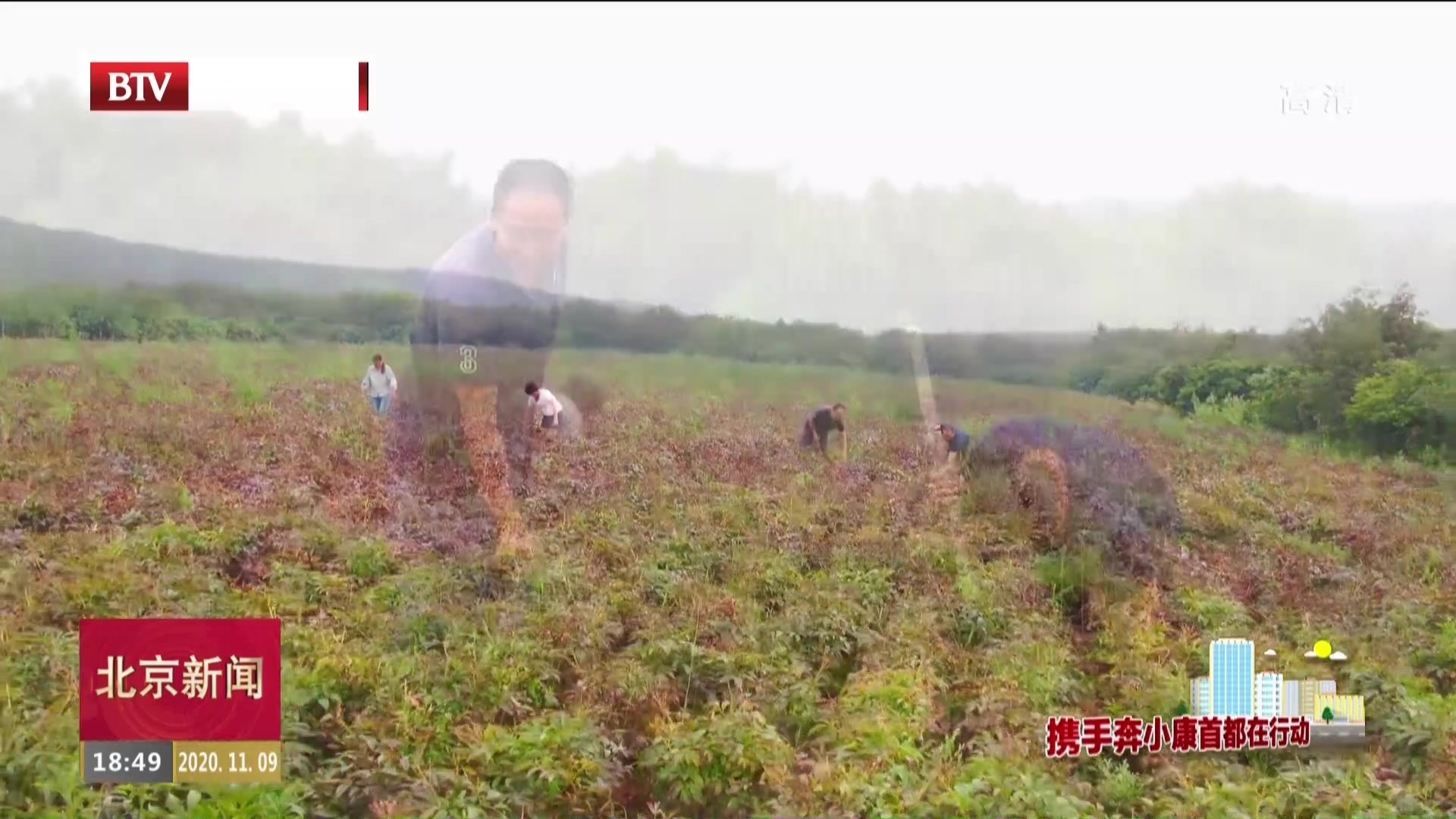 北京同仁堂助力内蒙古自治区兴安盟扎赉特旗新林镇产业扶贫 北京同仁堂助力内蒙古自治区兴安盟扎赉特旗新林镇产业扶贫