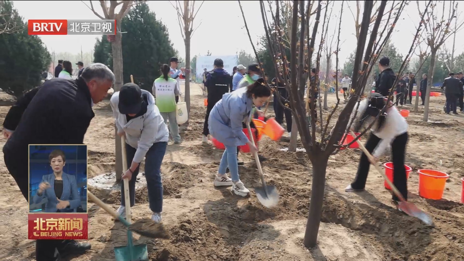 北京迎来第40个首都义务植树日 129万市民植树播绿美化家园