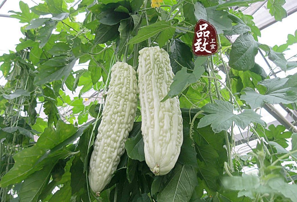 t015db314ccbfff5745.jpg?size=1024x696