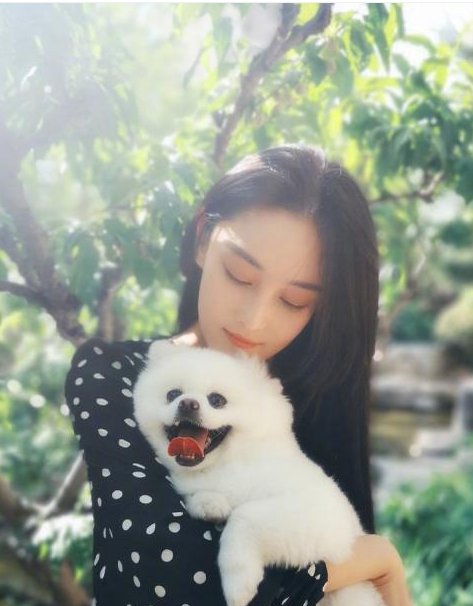 张馨予颜值到底有多高?连摄影师都表示:我懒得