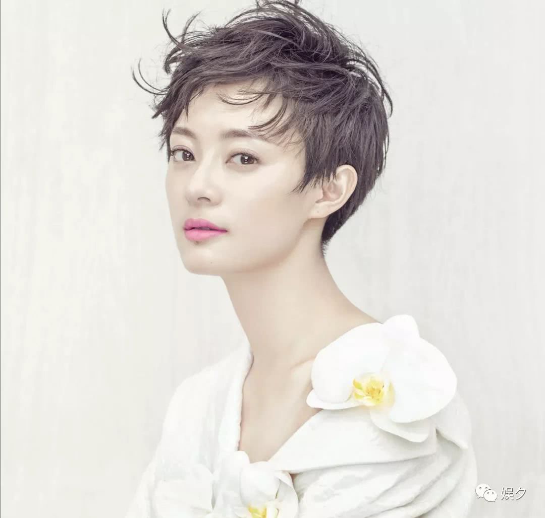 孙俪又接郑晓龙电视剧,王丽坤吴秀波董洁都给