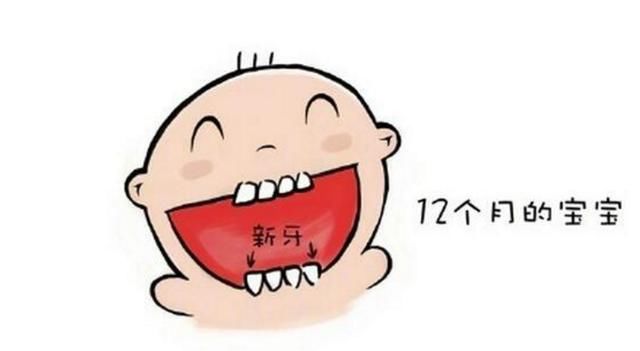 宝宝12个月有8颗牙才达标,你家孩子达标了吗?