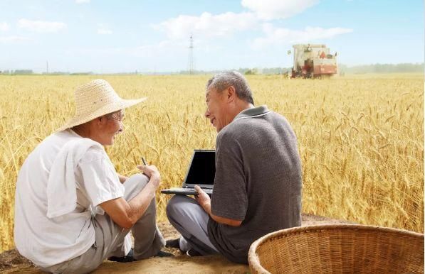 坚持农业农村优先发展,实现农业强、农村美、