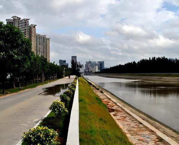 周末去深圳湾公园游玩攻略