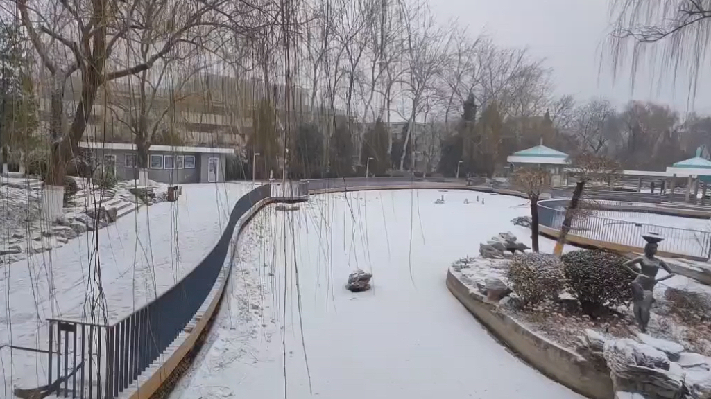 记住这个下雪的冬天 ~北京又迎来降雪天气