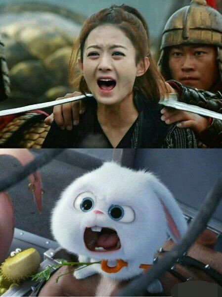 【萌翻了】:赵丽颖的前世是兔子吗? 能不能不