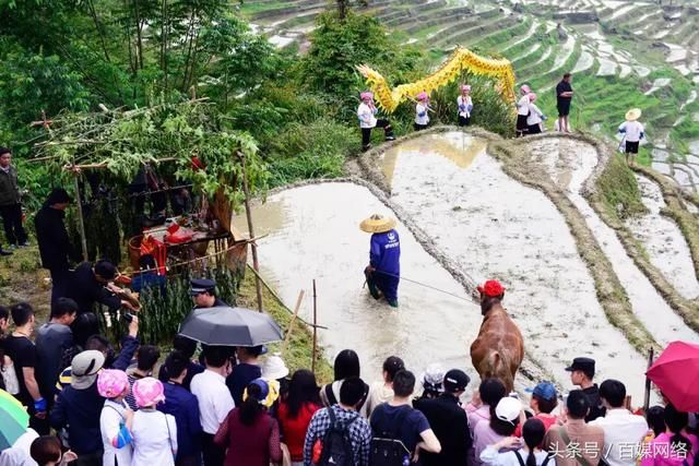 CCTV13新闻直播间|广西龙胜:千层天梯闹春耕