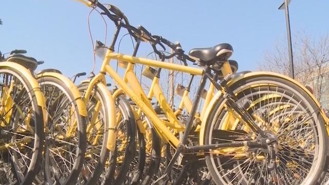 【诚信北京】共享单车：毫厘之间的诚信考验