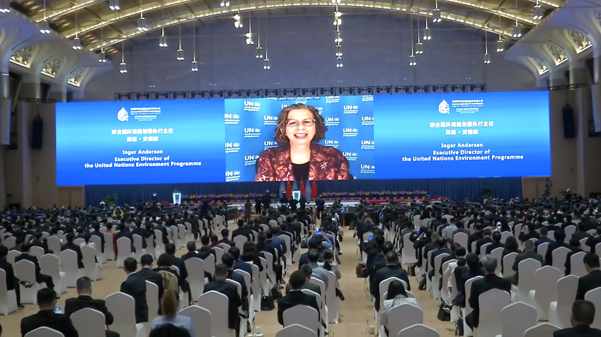 COP15来了！北京力争成为地方政府支持国家履约的典范