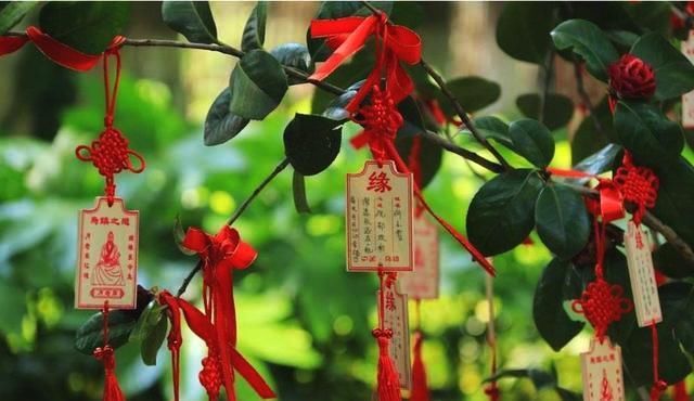 农历二月初一,桃花运,朵朵开放,三大生肖转角,遇到自己的爱人