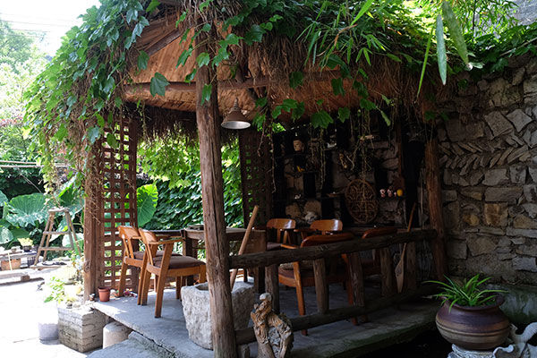 住在茅草屋下的小院里养心