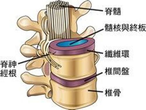 患有腰突症!专家推荐3个方法,快速帮你缓解腰