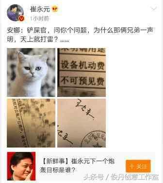 崔永元:为什么华谊两兄弟一声明,天上就打雷