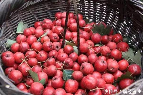 痛经医生:山楂、三七、茜草的药理作用及服用