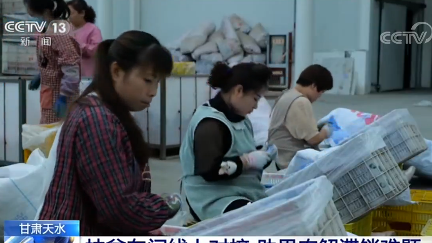 传统商贸企业搭上电商快车 激活消费助力经济复苏