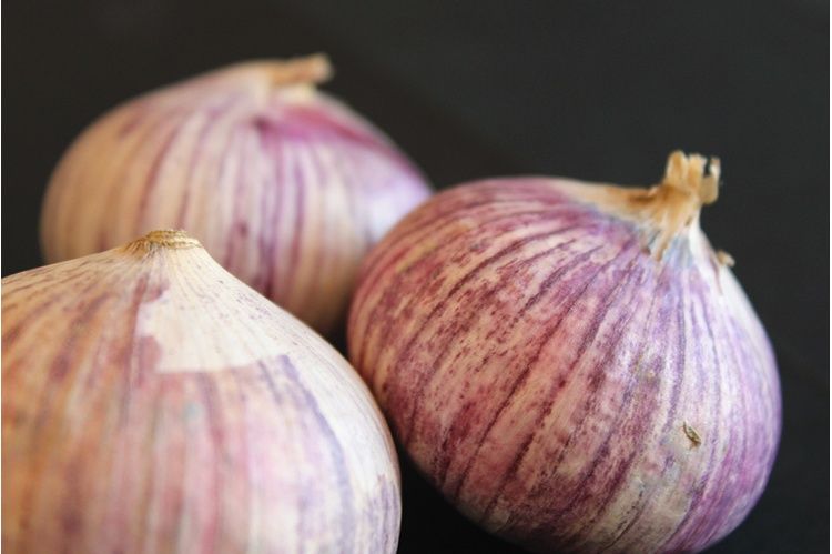 要治愈幽门螺旋杆菌感染病,需从2方面入手,强