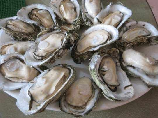 男人女人多吃这种食物,美容养颜、补肾养生,效