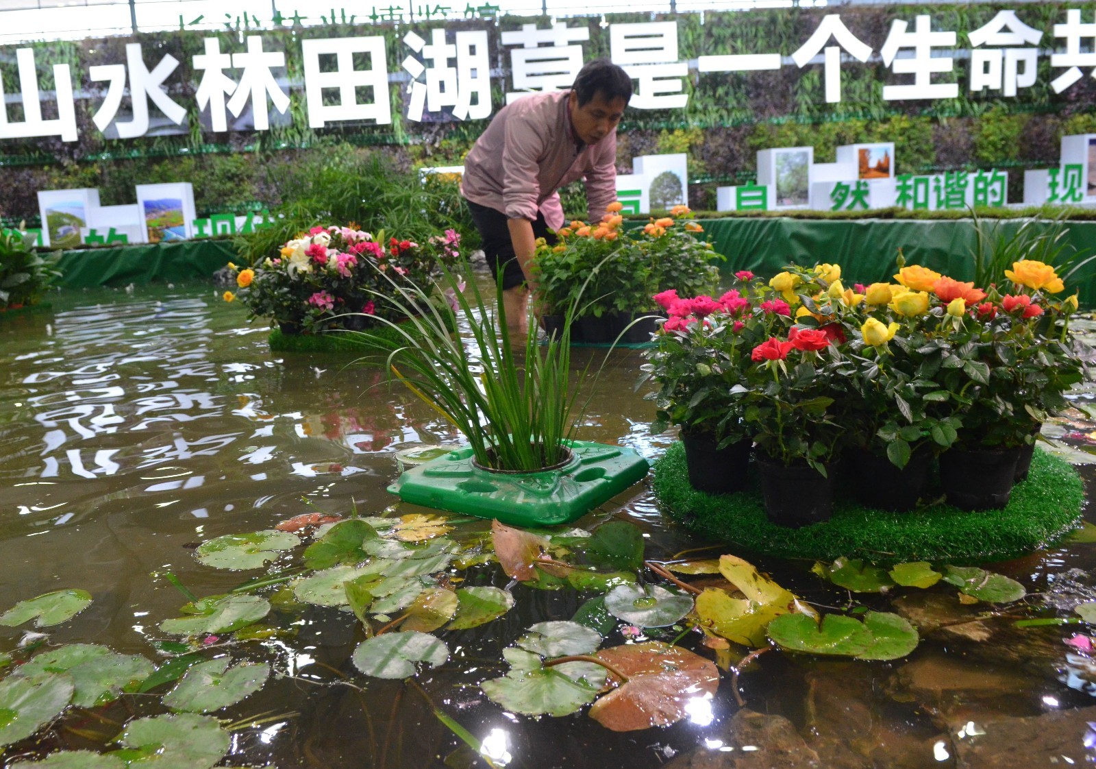 2017湖南农博会上生态农村馆水上花园迷人
