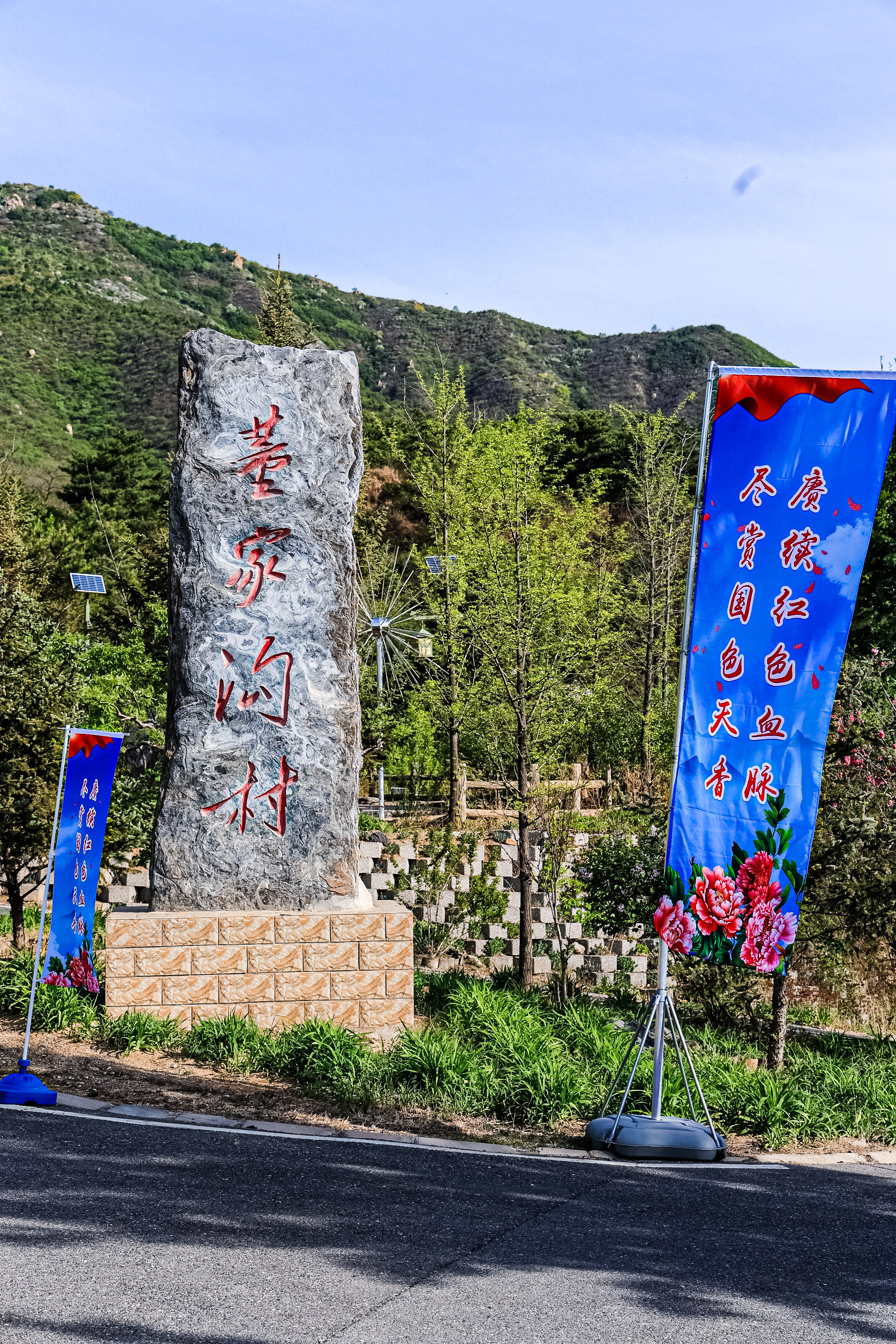 延庆牡丹文化节"花开花落二十日"至花期结束 "花样"活动等您来